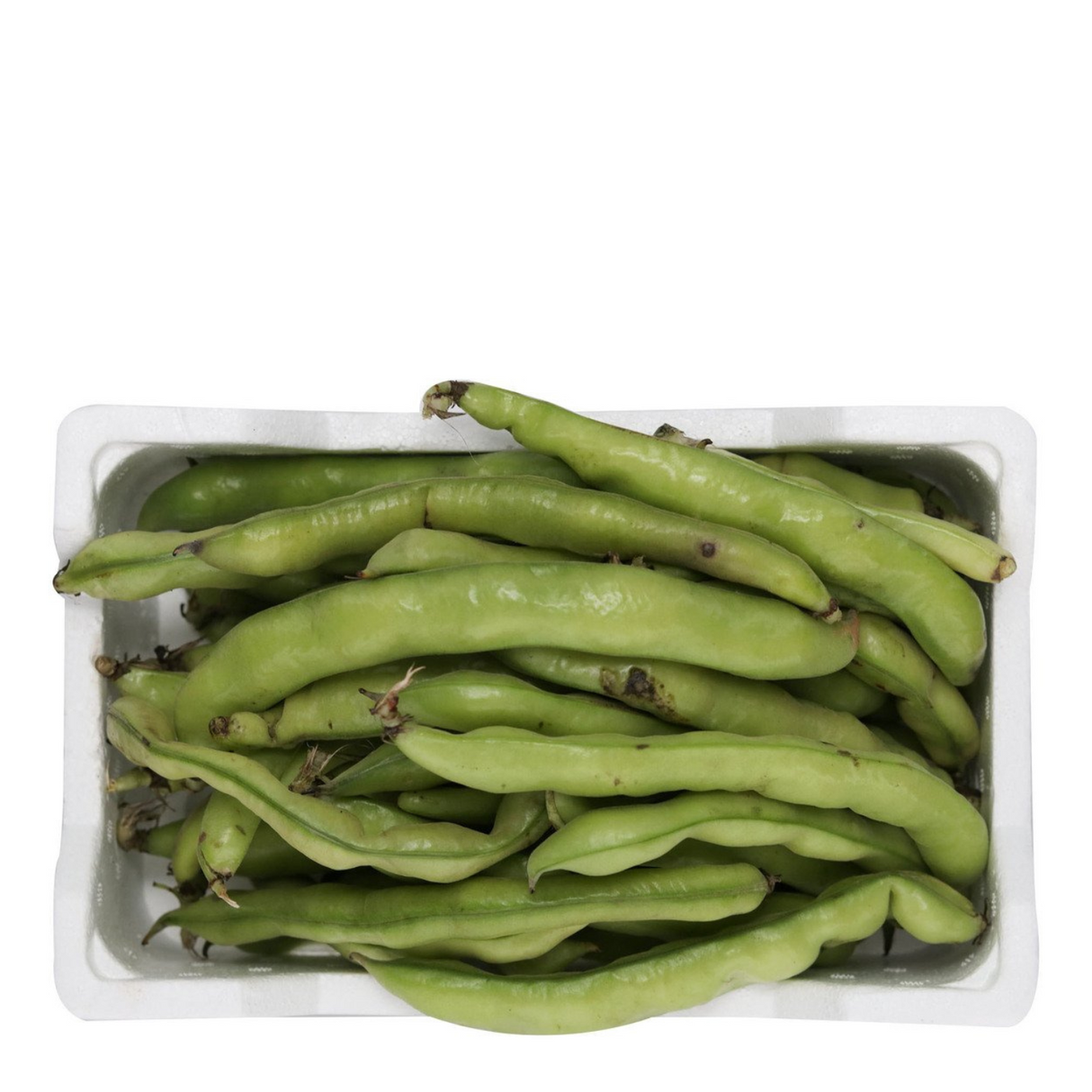 Fresh Fava Beans Pack (Total Weight 1.9kg) - Palmyra Orders