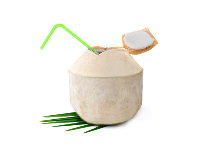Tender Coconut Peeled Thailand 1pc - Palmyra Orders