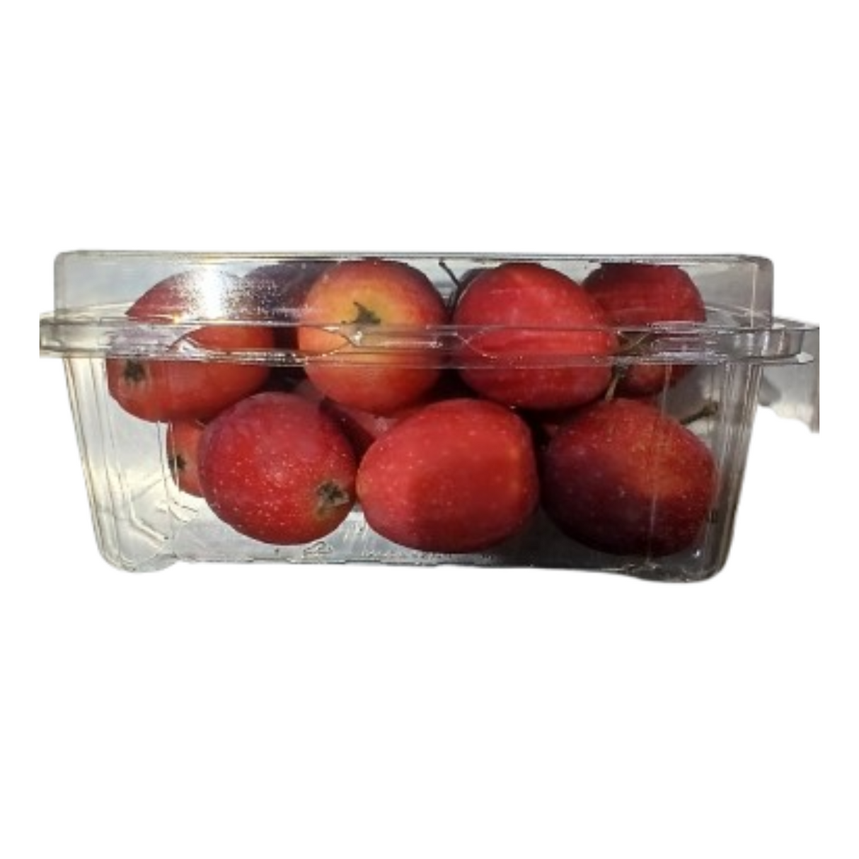 Apple Candy Appletini Pack-500g - Palmyra Orders