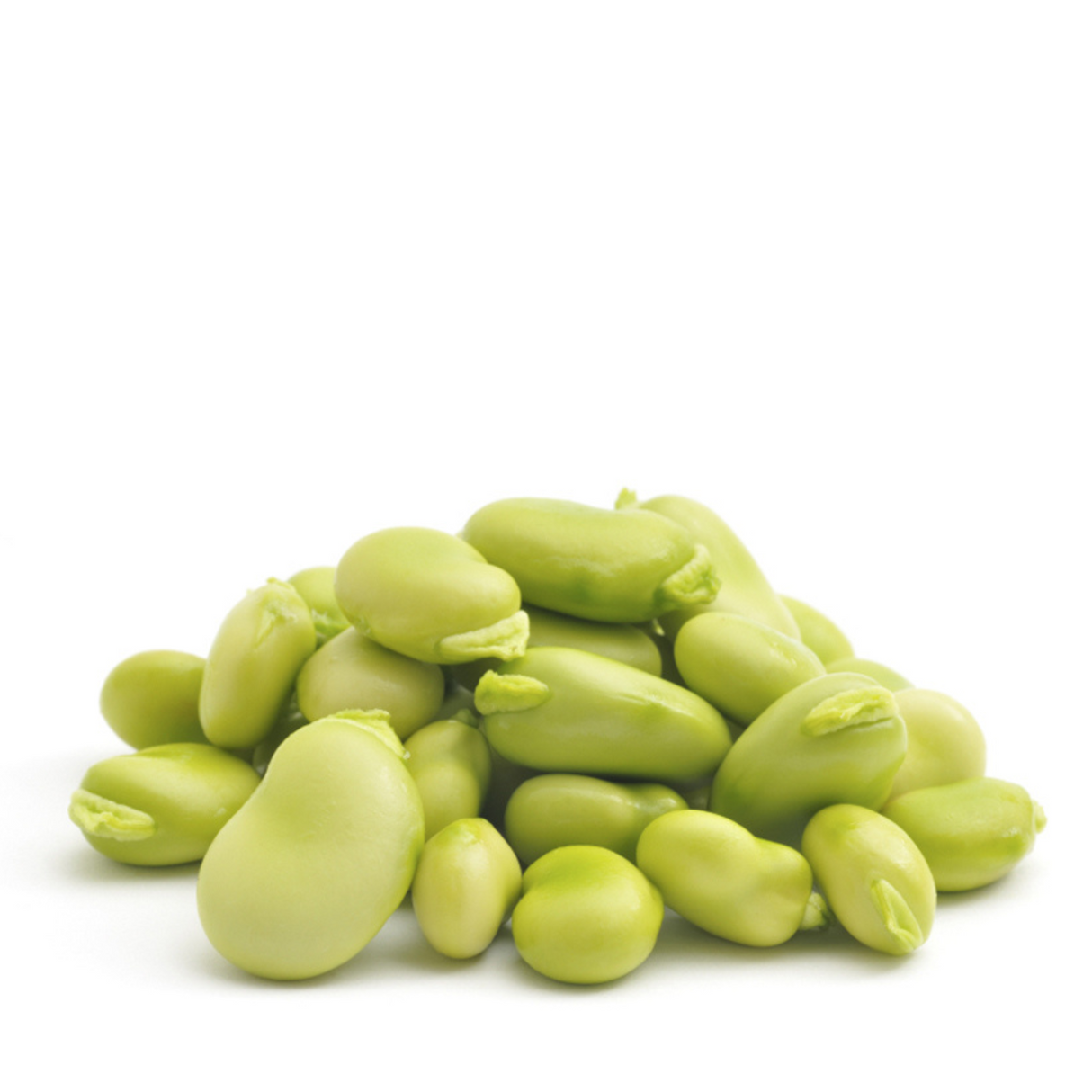 Fava Beans-500g - Palmyra Orders