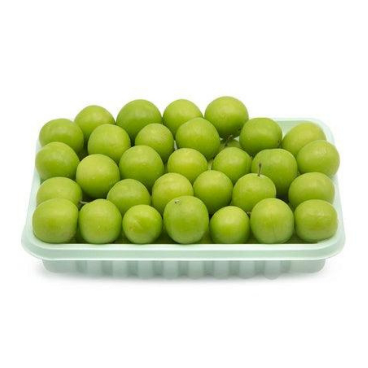 Janerik Pack - Palmyra Orders