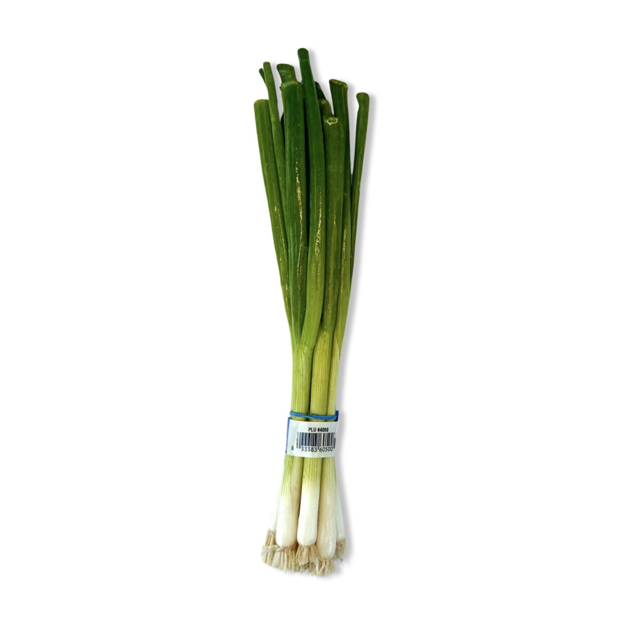 Spring Onion Piece - Palmyra Orders