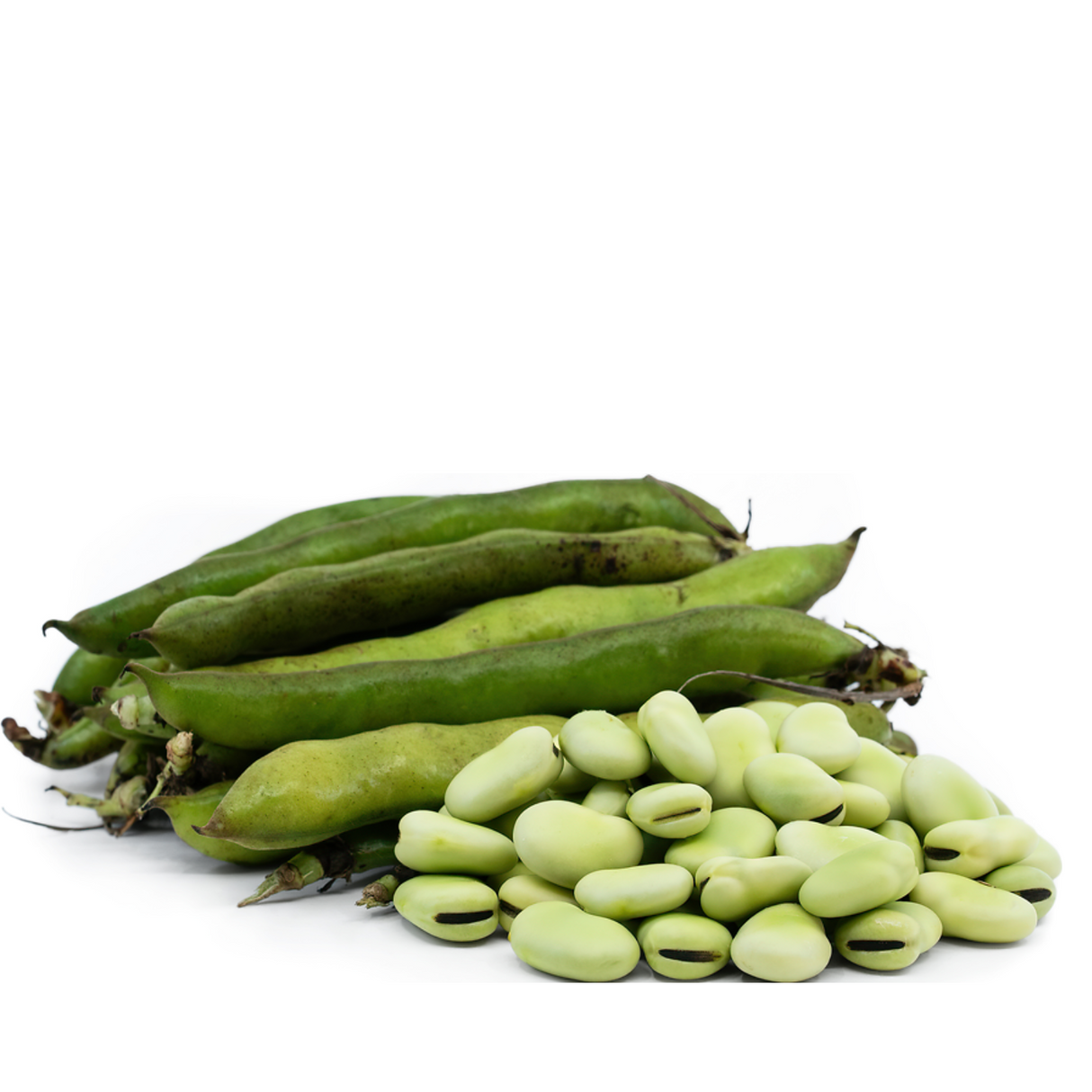 Fava Beans-500g - Palmyra Orders