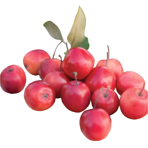 Apple Candy Appletini Pack-500g - Palmyra Orders