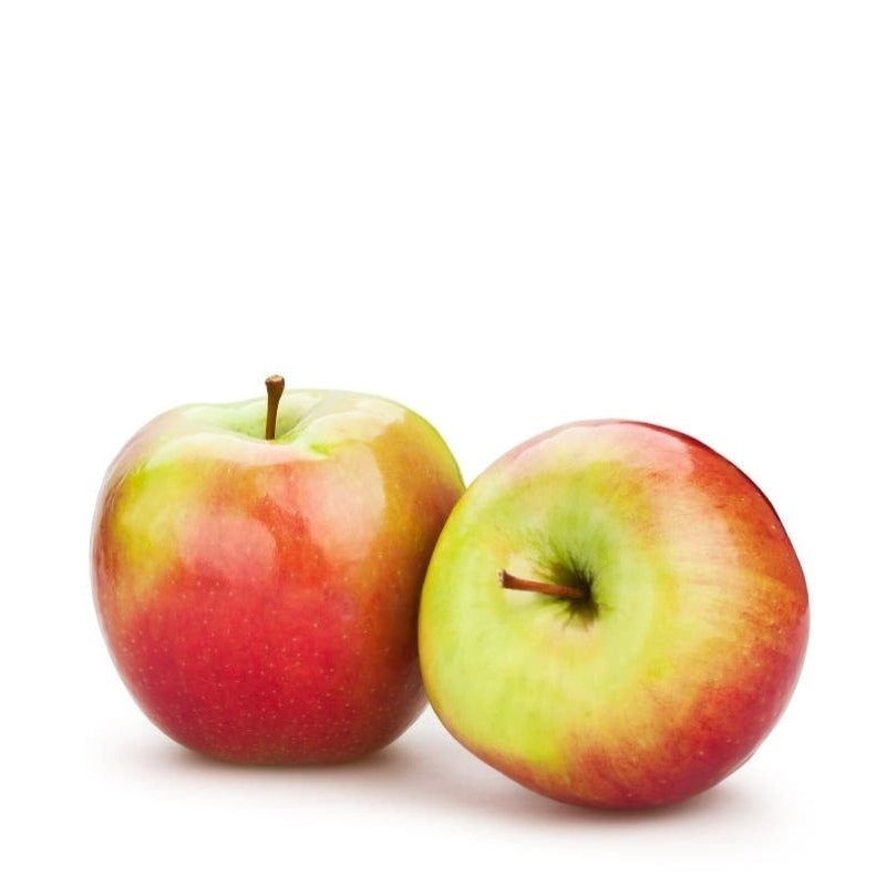 Two red and green apples on a white background