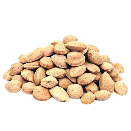 Roasted Uzbekistan Almond In Shell 250g - Palmyra Orders