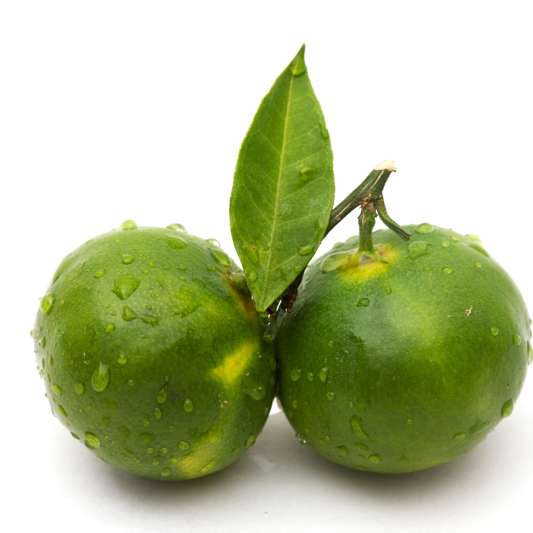 Syrian Clementine-500g - Palmyra Orders