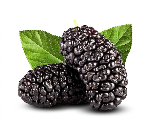 Fresh Lebanon Mulberry – 500g - Palmyra Orders