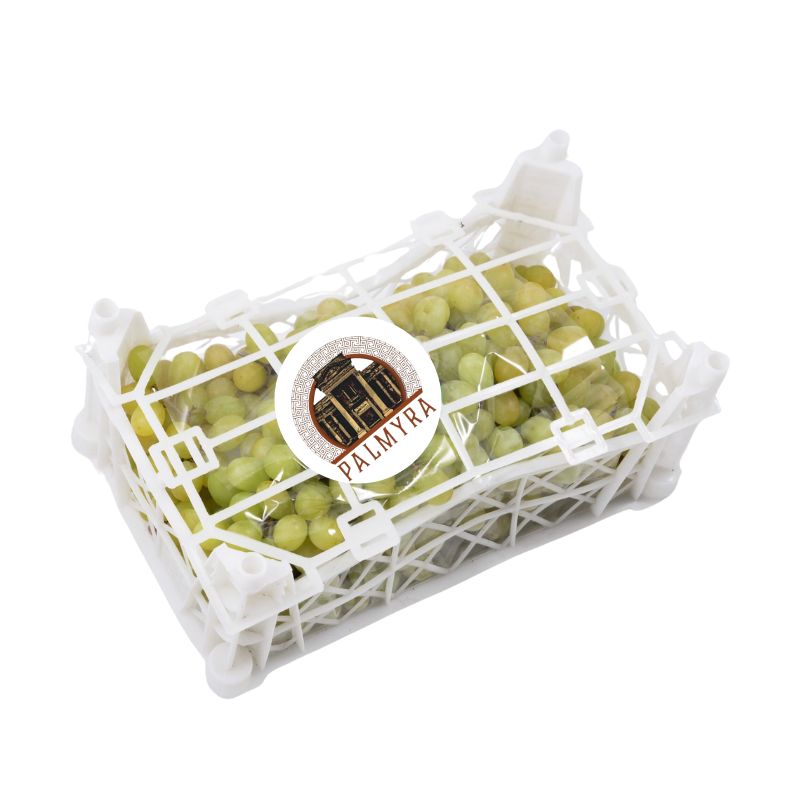 Fresh White Grapes Box – Approx 1600g - Palmyra Orders