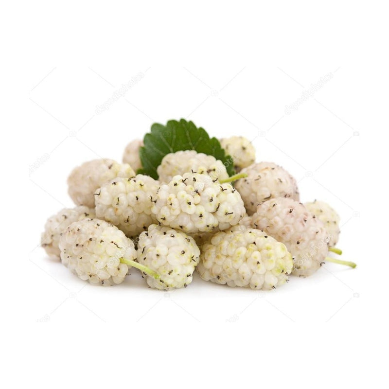 Organic White Mulberry – 500g | Naturally Sweet & Nutritious,High fiber mulberries Sharjah , Dubai , Abu Dhabi , Ajman , UAE.