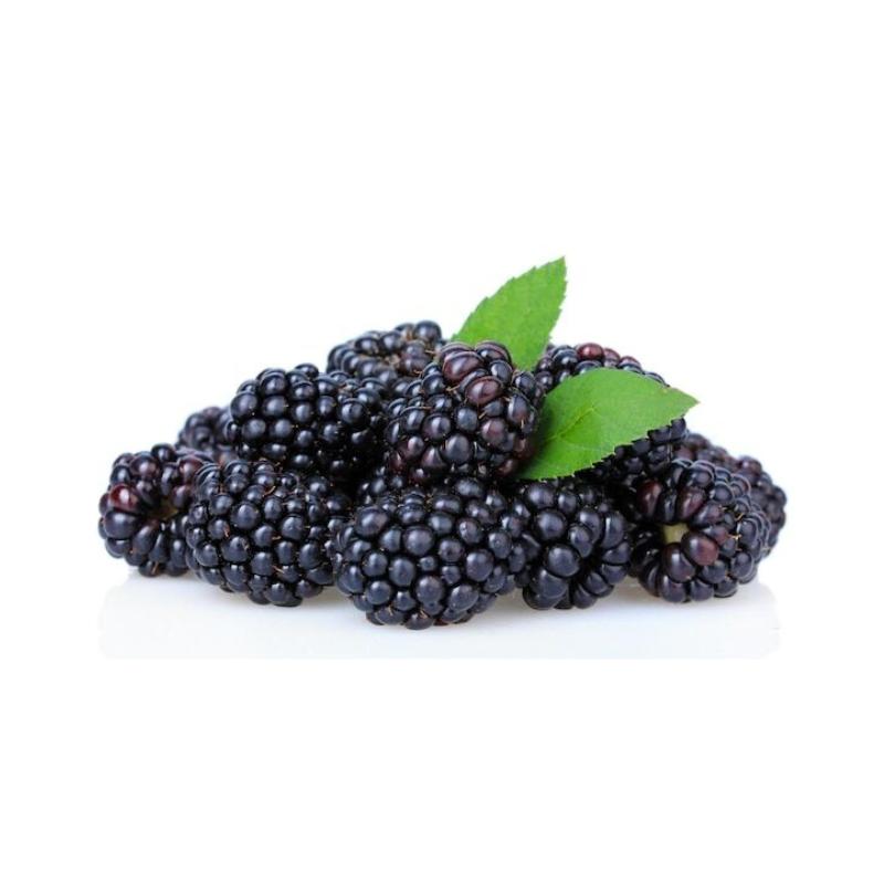 Shami Berry 500g Pack | Handpicked & Juicy Berries,Traditional Syrian fruit Abu Dhabi,Dubai,UAE.