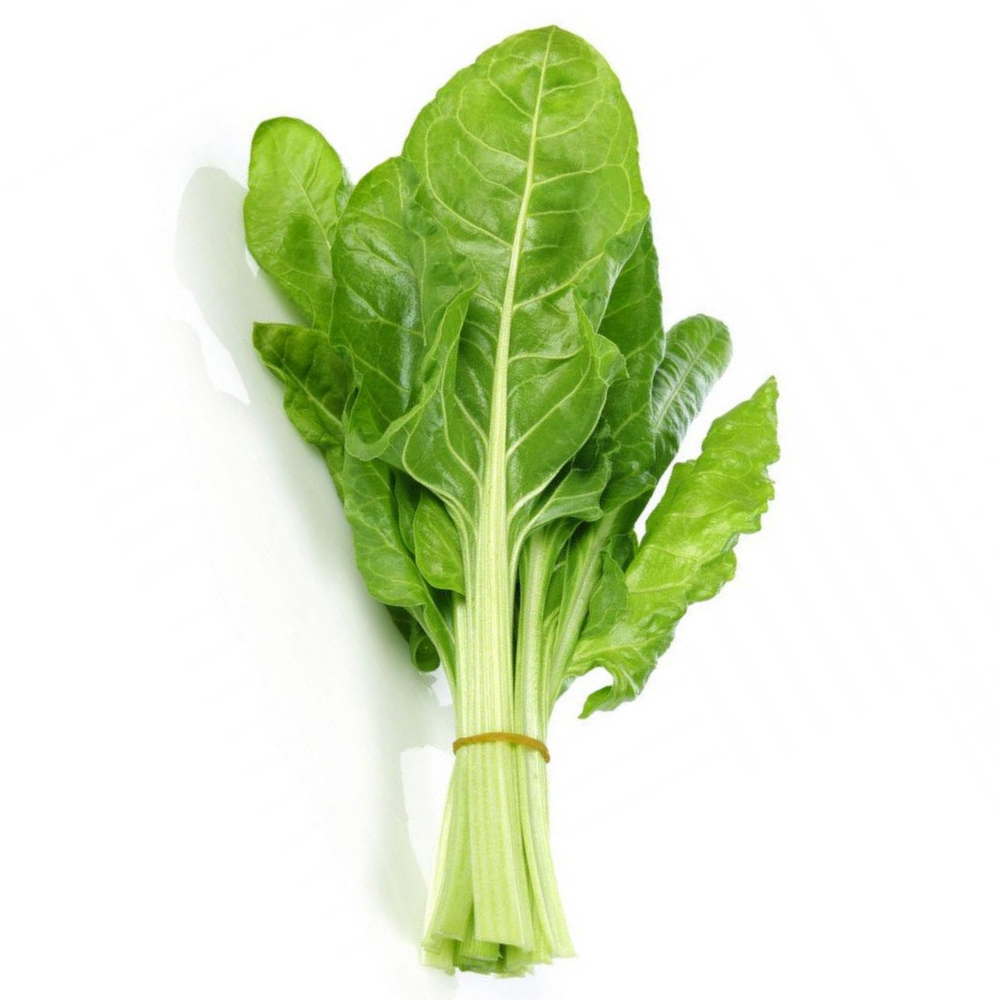 Lebanon Green Chard - 500g - Palmyra Orders