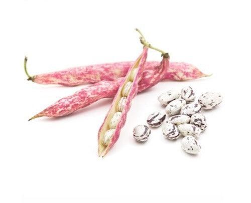 Aisha Khanem Fresh Beans-500g - Palmyra Orders