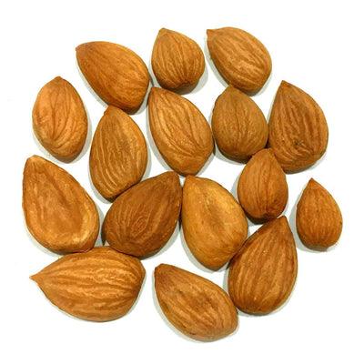Apricot Seed Kernel 250g - Palmyra Orders
