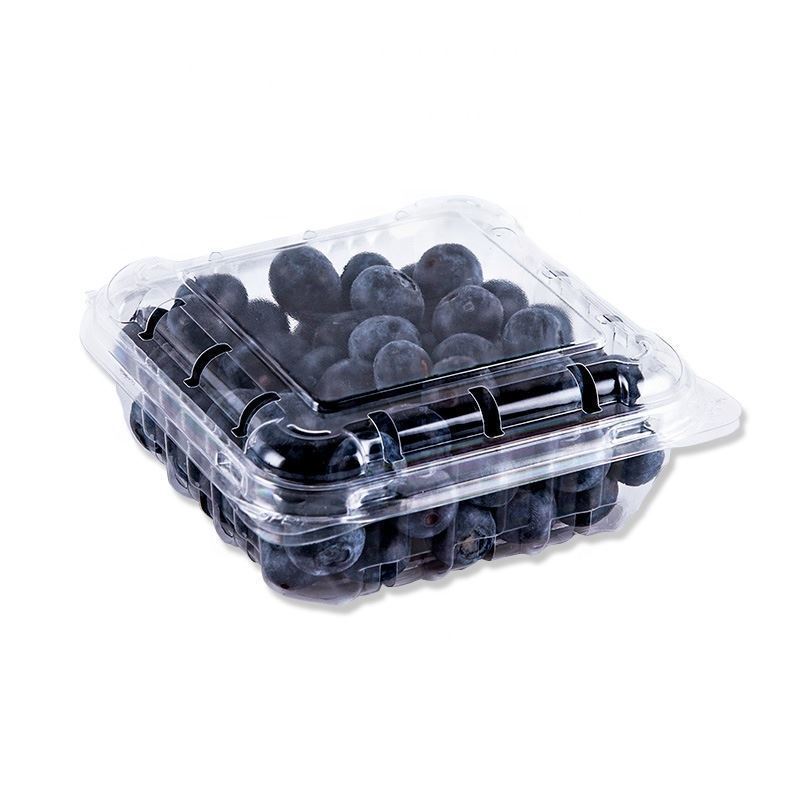 Blueberries Fruit Pack-125g - Palmyra Orders uae