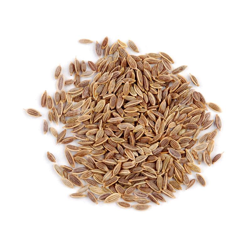 Dill Seed 100g - Palmyra Orders