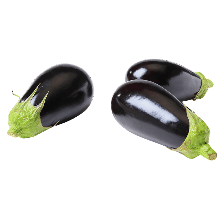 Eggplant Mahshi-500g - Palmyra Orders