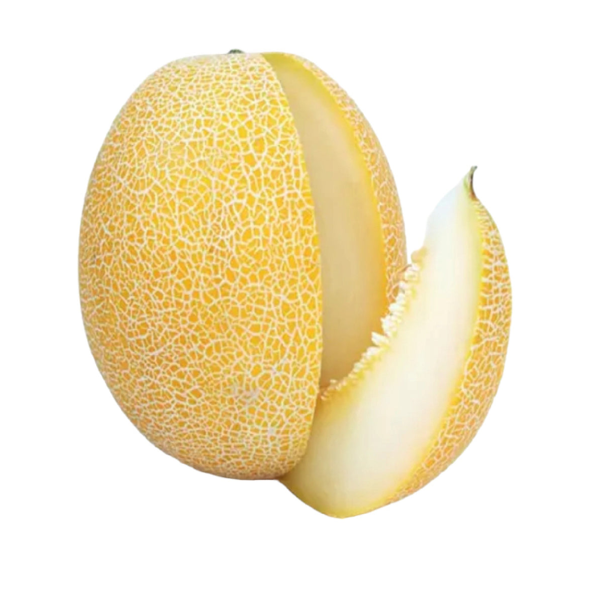 Fresh Cantaloupe Melon – Approx 3kg - Palmyra Orders