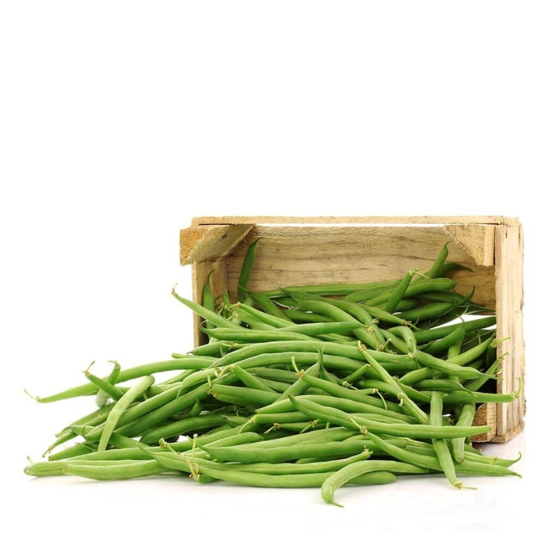 Fresh Beans Green Thin-500g, Palmyra Orders UAE