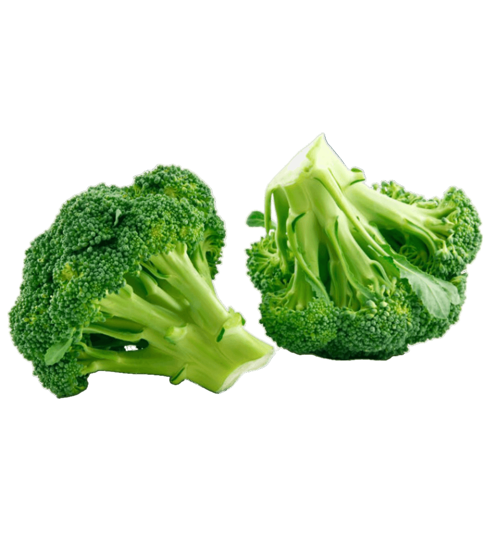 Fresh Broccoli-1 PC - Palmyra Orders