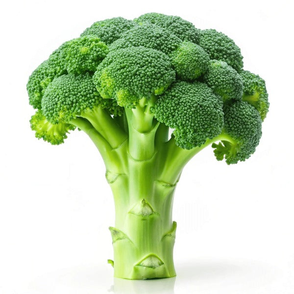 Fresh Broccoli-1 PC - Palmyra Orders