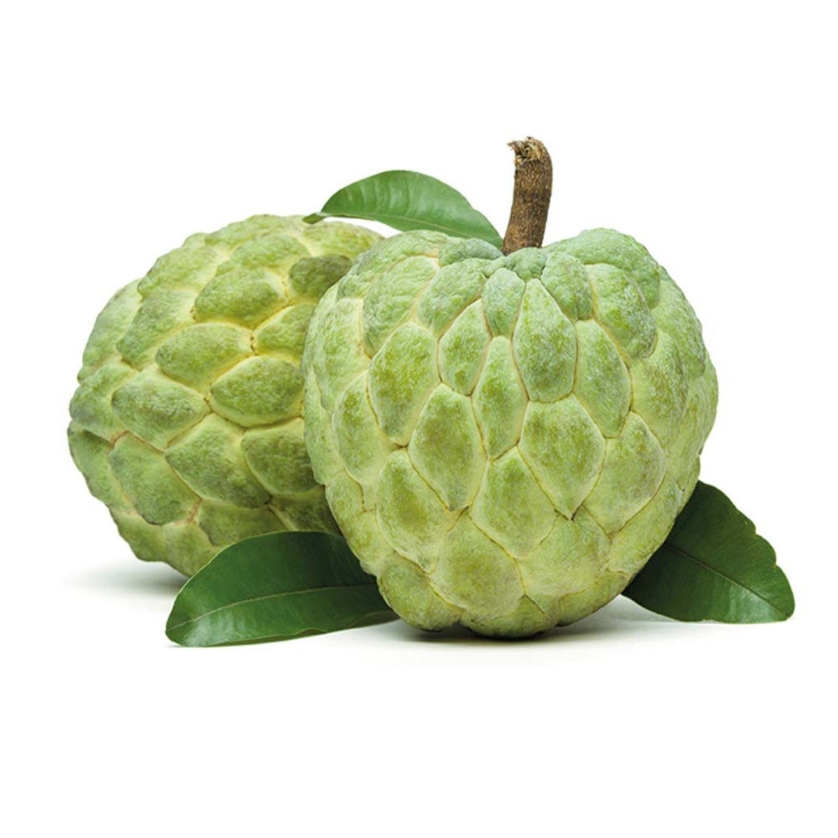 Two green custard apples with leaves on a white background