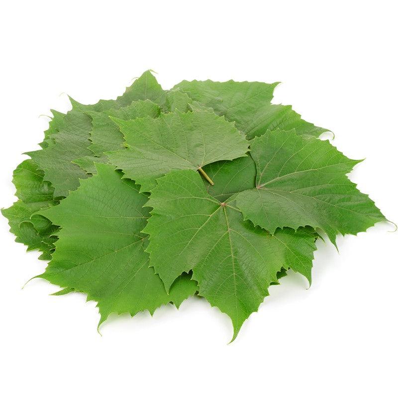 Green Grape Leaves  500g - Palmyra Orders