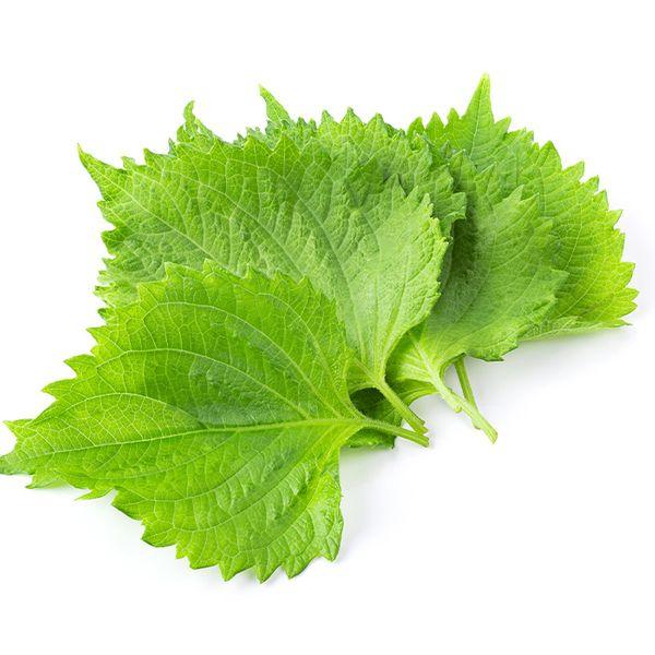 Green Grape Leaves-PKT - Palmyra Orders