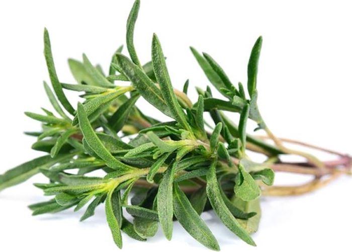 Fresh Green Thyme - Bunch - Palmyra Orders