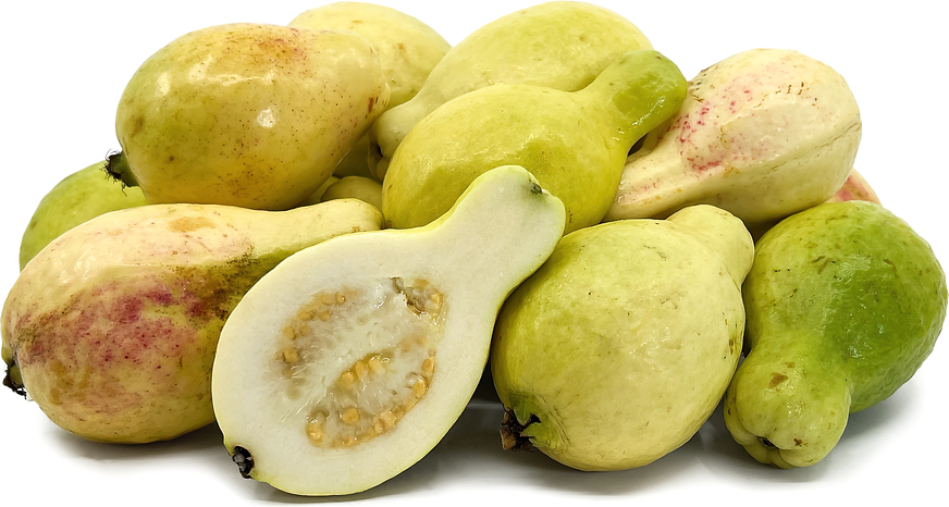 Guava-500g - Palmyra Orders