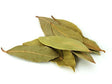 Laurel Leaves 50g - Palmyra Orders
