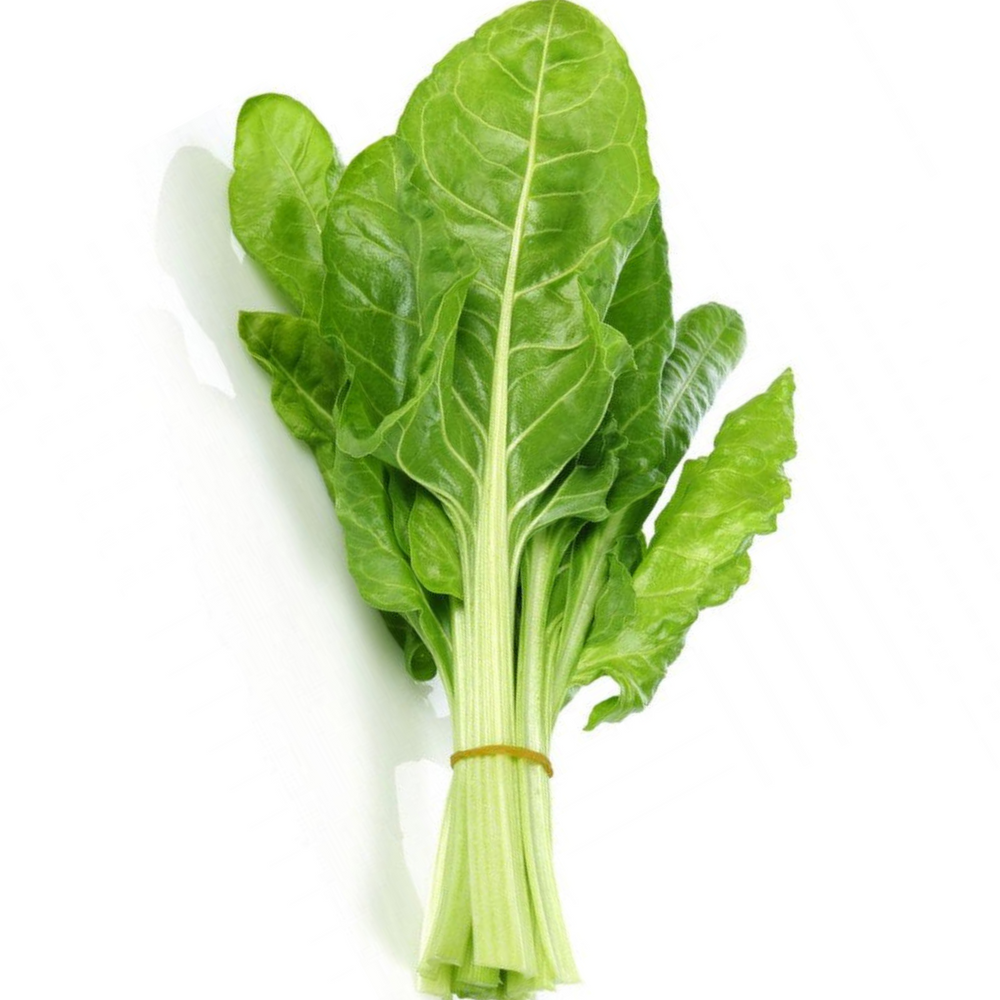 Lebanon Green Chard, Bunch - Palmyra Orders