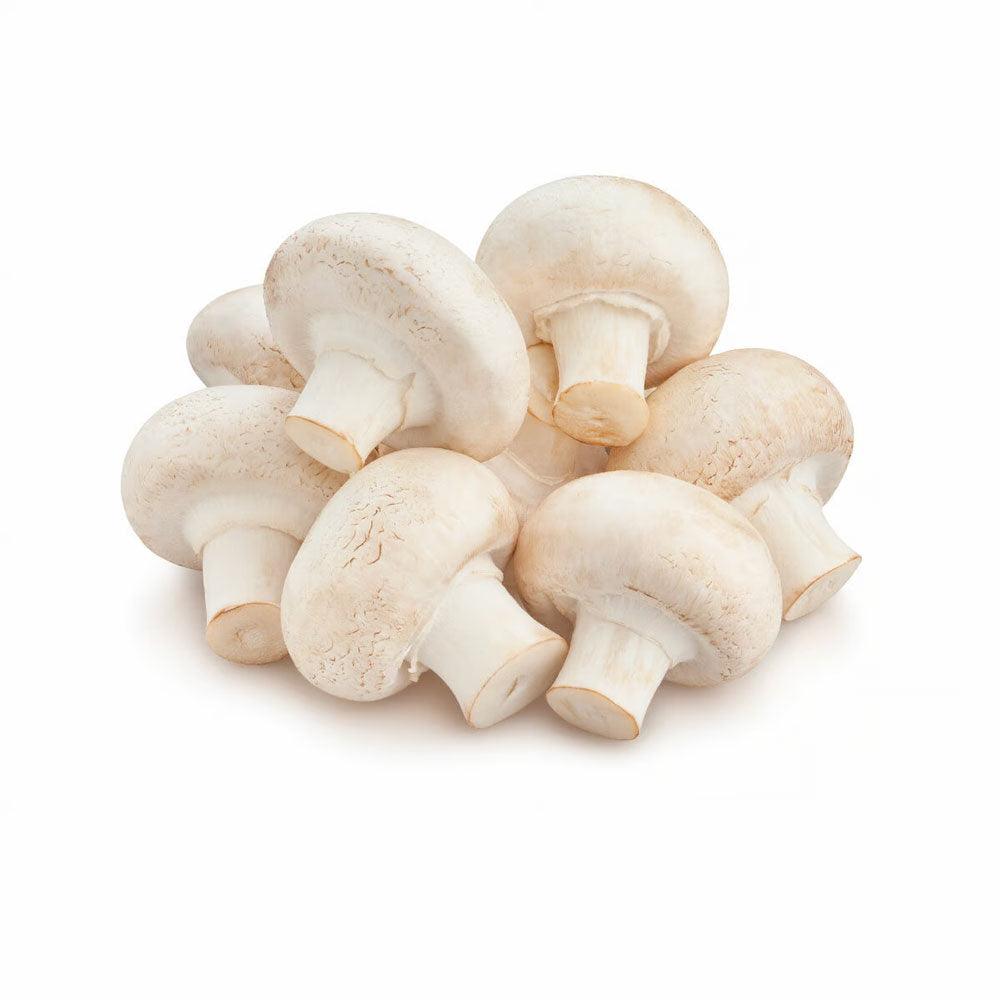 Mushroom Button White Pkt-250g - Palmyra Orders