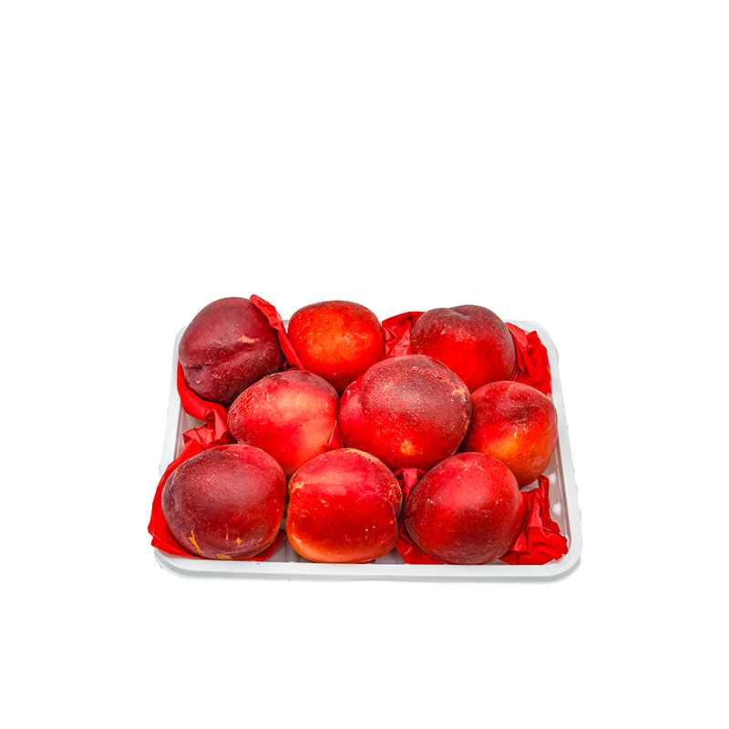 Nectarine-PKT, Palmyra Orders UAE