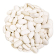 White Kidney Beans 500g - Palmyra Orders