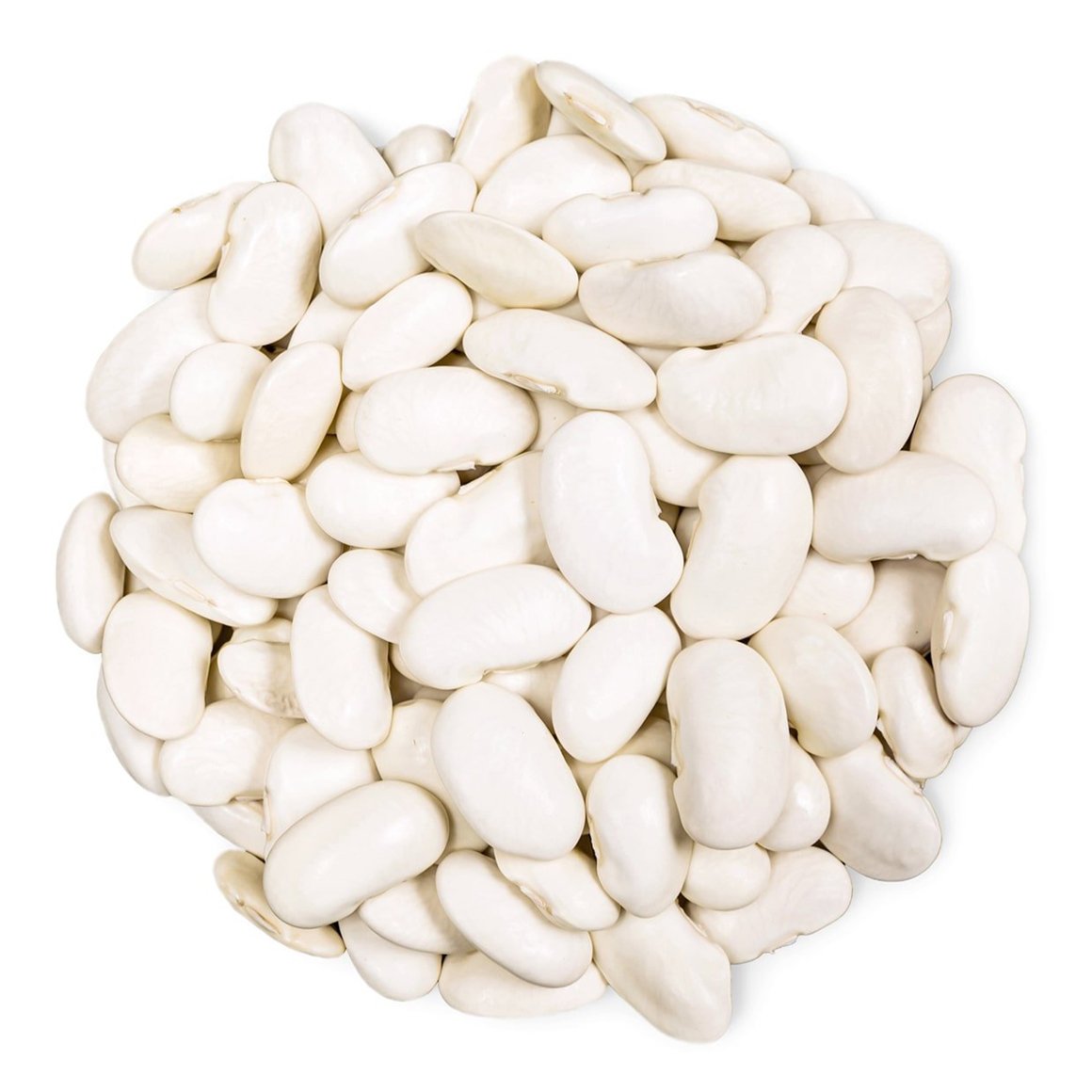 White Kidney Beans 500g - Palmyra Orders