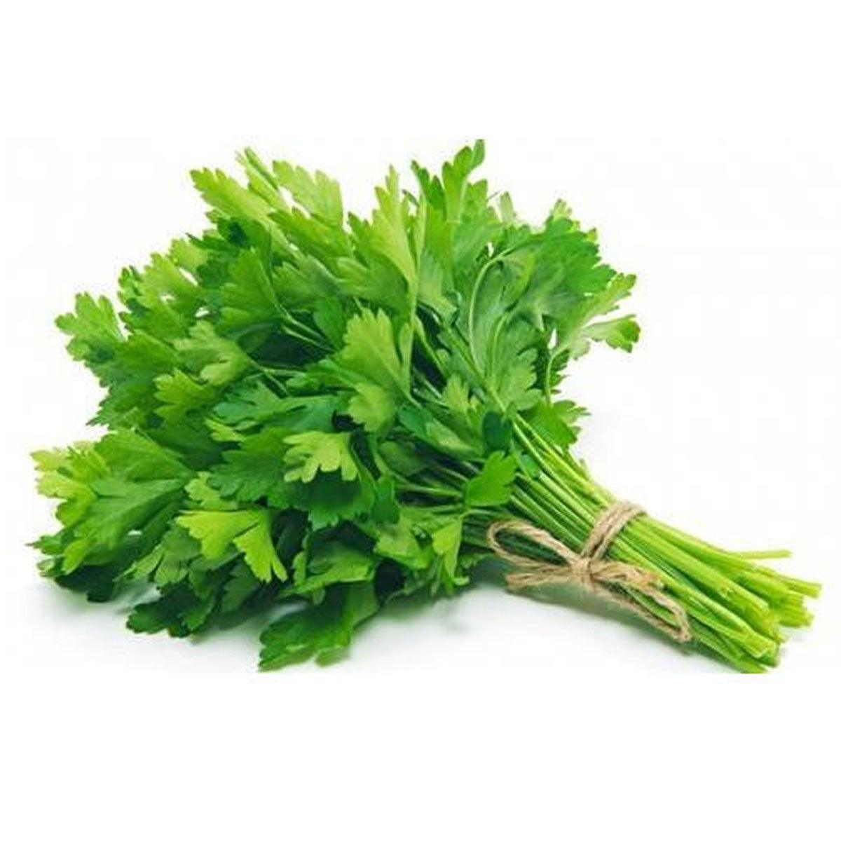 Fresh Parsley - Bunch - Palmyra Orders