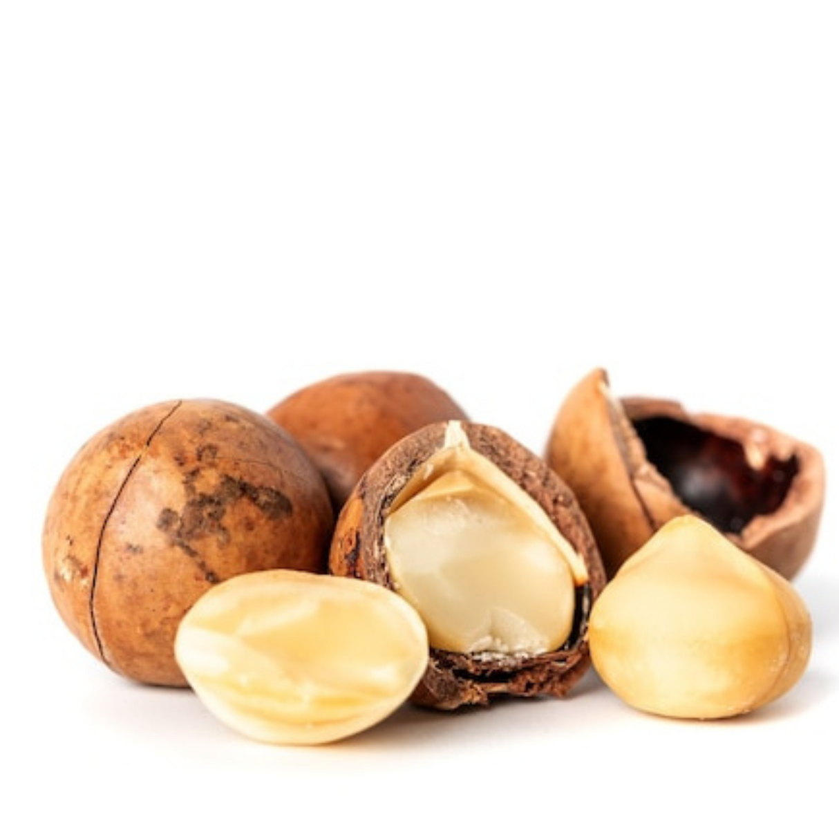 Roasted Macadamia in Shell, 200g - Palmyra Orders