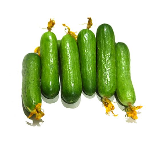 Snack Cucumber-500g - Palmyra Orders