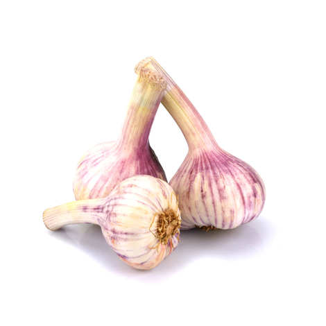 syrian Garlic-500g - Palmyra Orders