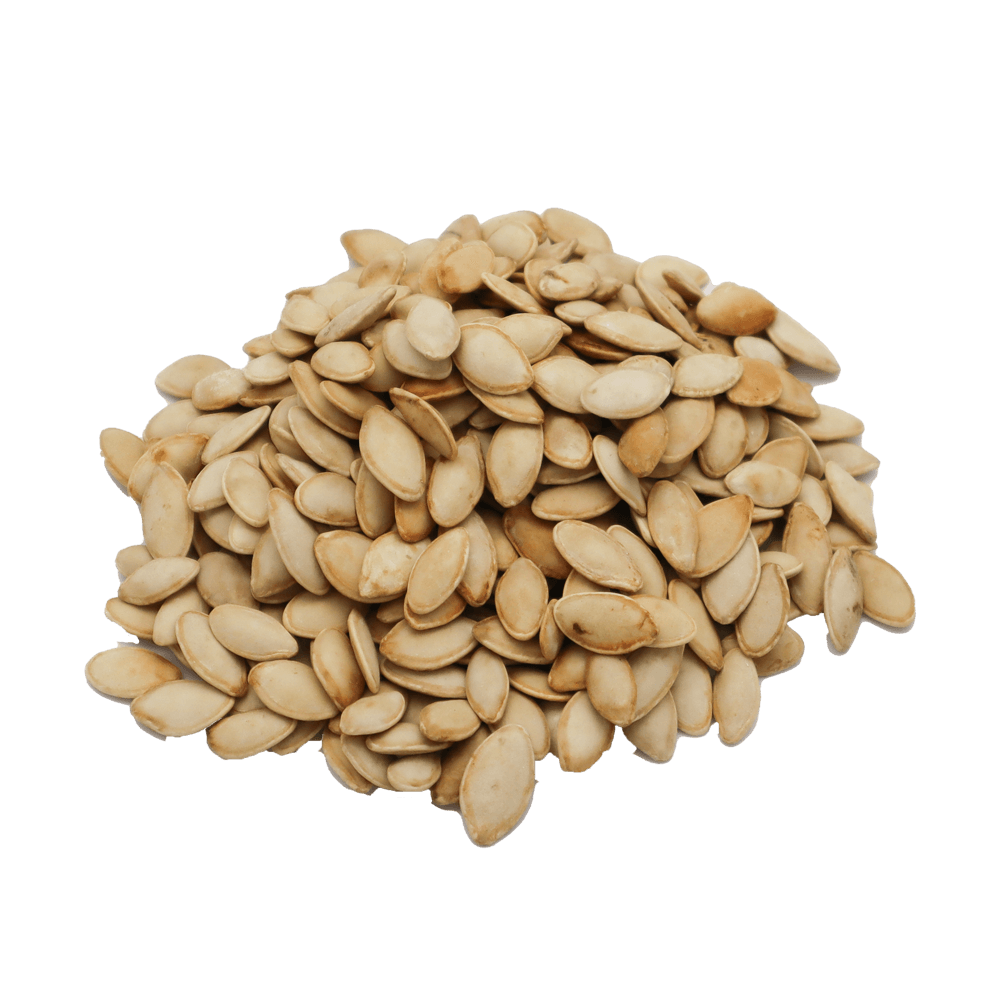 Zucchini Seeds 250g - Palmyra Orders