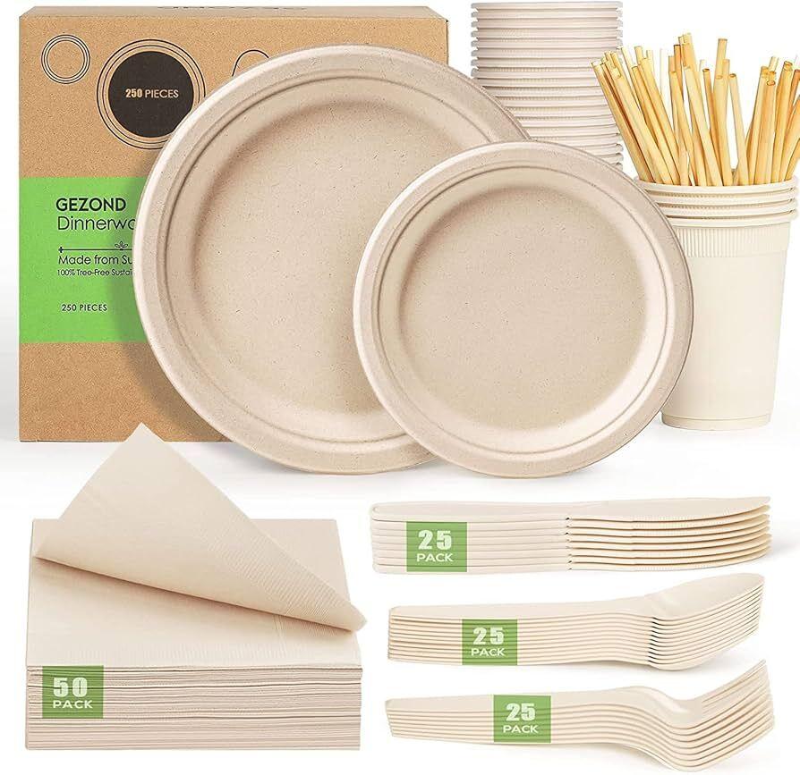 "Durable plastic dinnerware set for all occasions"