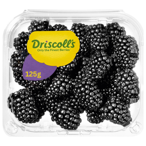 Fresh Blackberries