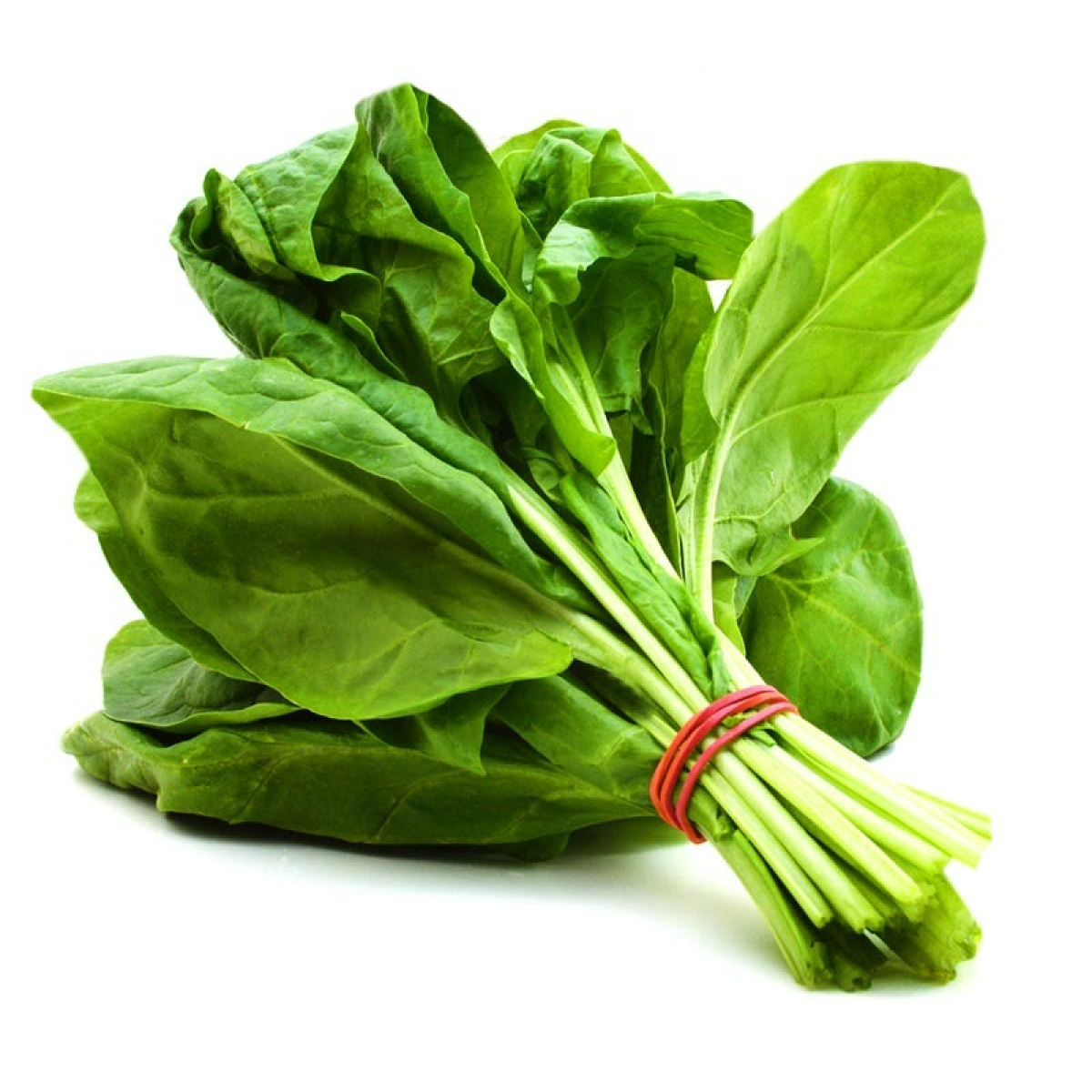 Lebanon Spinach-500g - Palmyra Orders