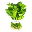 Fresh Arugula leaves (Gerger)-Large Bunch - Palmyra Orders