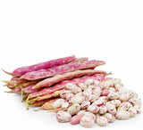 Aisha Khanem Fresh Beans-500g - Palmyra Orders