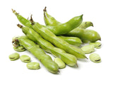 Fava Beans-500g - Palmyra Orders