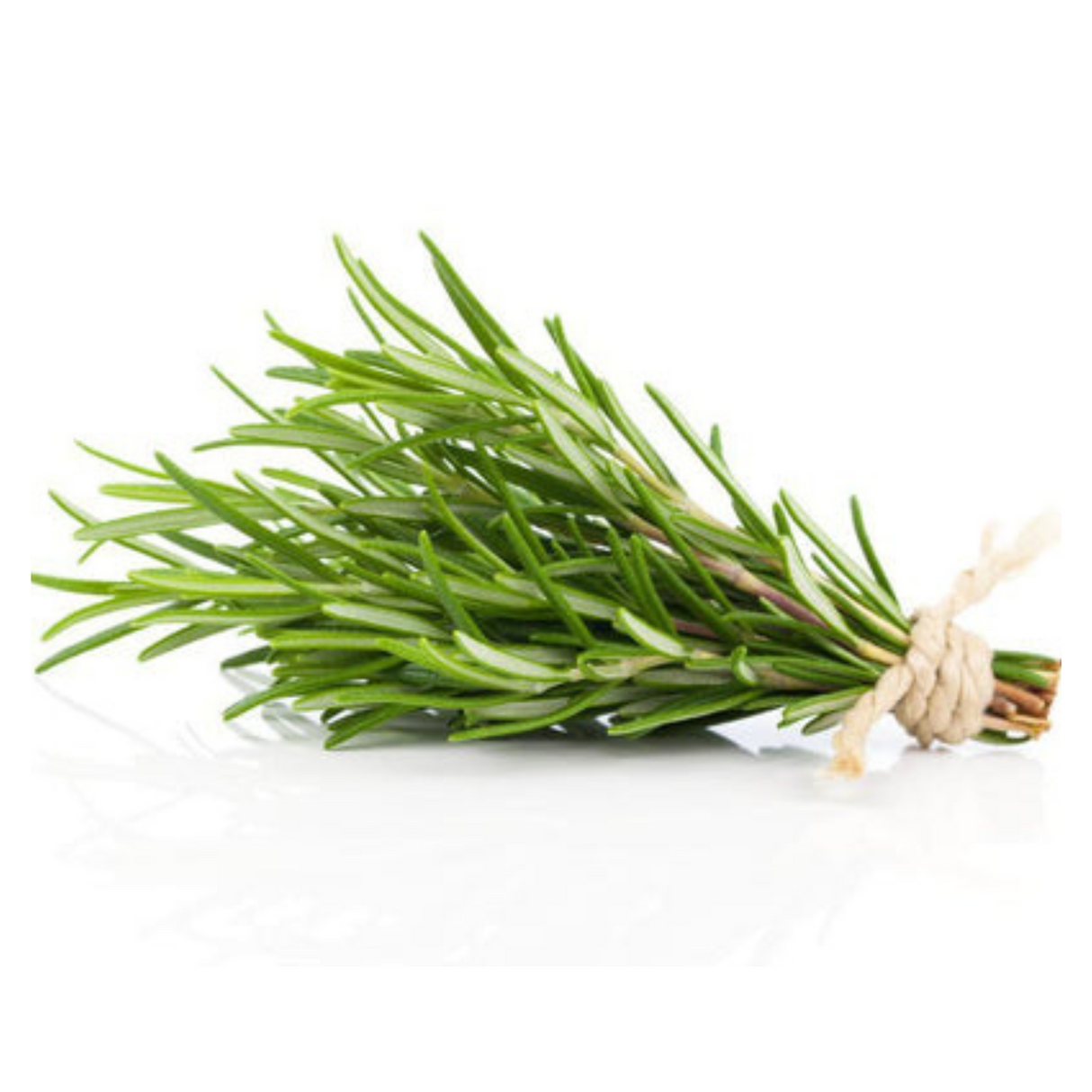 Fresh Green Thyme Large Bunch - Palmyra Orders