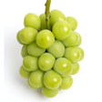 "A close-up of fresh, golden-green Shine Muscat Grapes-500g, showcasing their smooth, seedless skin and juicy texture. Perfect for snacking, salads, or desserts."