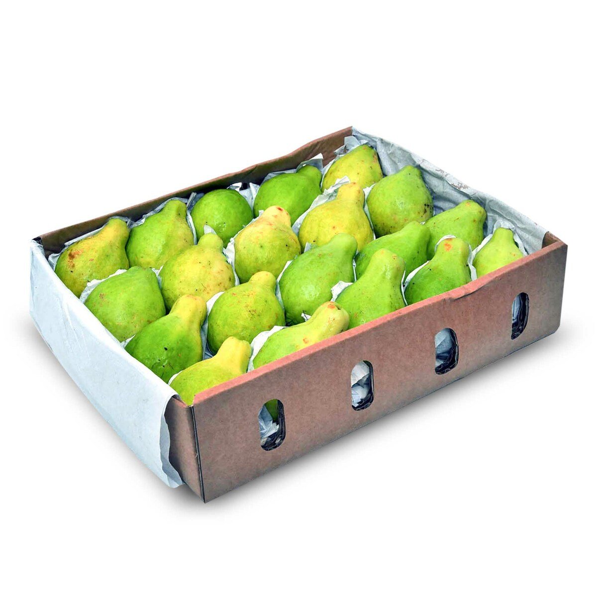 Egyptian guava small box - Palmyra Orders